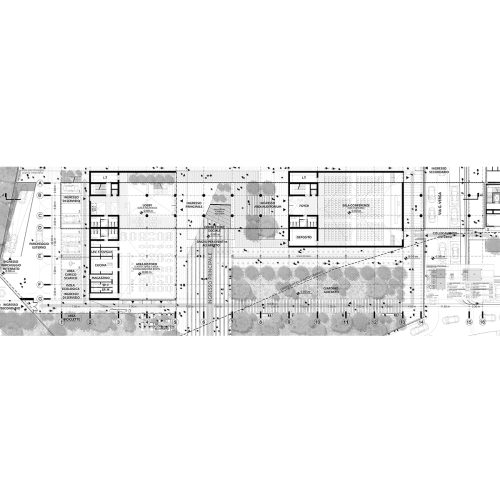 cineca-2024-competition-entry-tari-architects_03