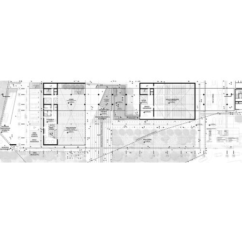 cineca-2024-competition-entry-tari-architects_04