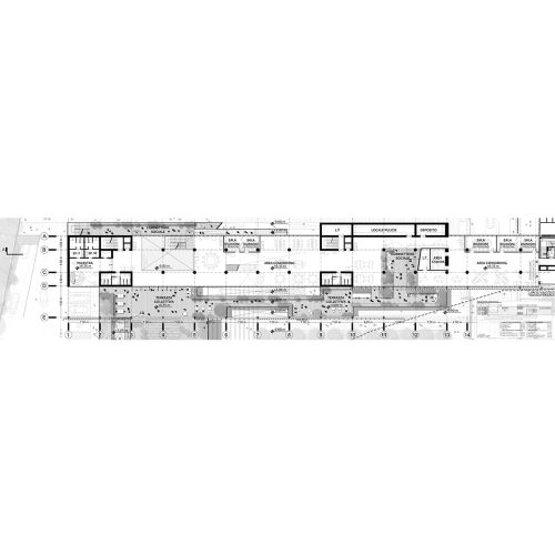 cineca-2024-competition-entry-tari-architects_05