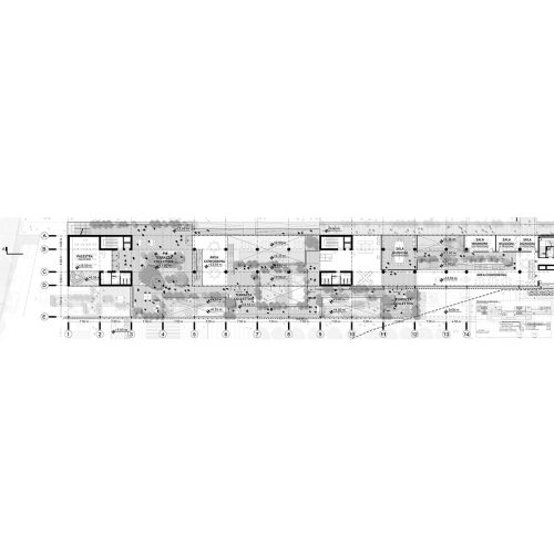 cineca-2024-competition-entry-tari-architects_07