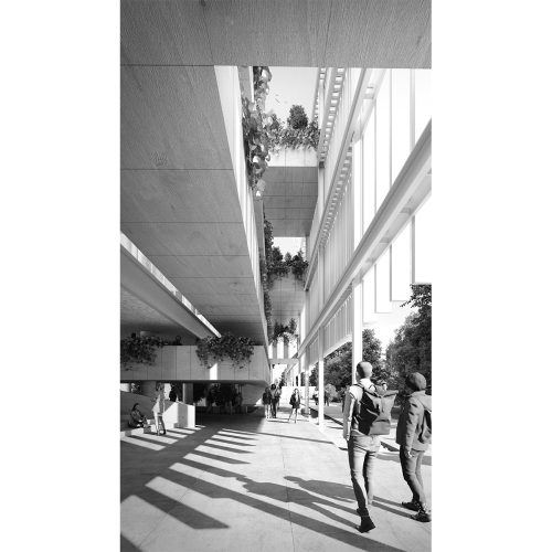 cineca-2024-competition-entry-tari-architects_08