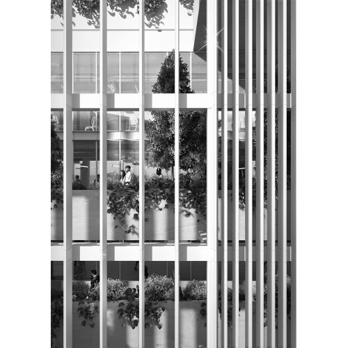 cineca-2024-competition-entry-tari-architects_09