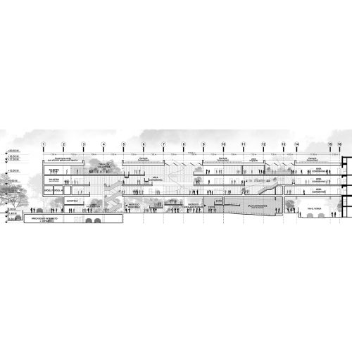 cineca-2024-competition-entry-tari-architects_10