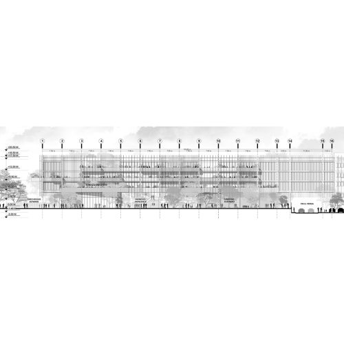 cineca-2024-competition-entry-tari-architects_11