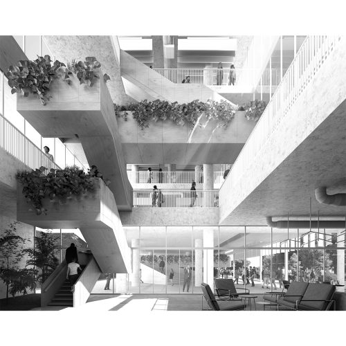 cineca-2024-competition-entry-tari-architects_12