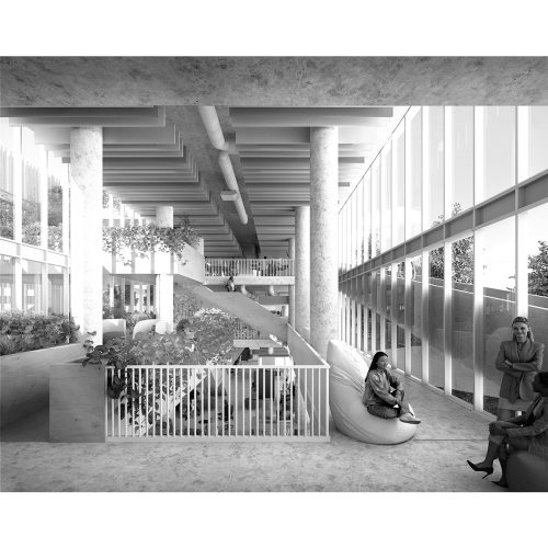 cineca-2024-competition-entry-tari-architects_13