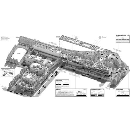 cineca-2024-competition-entry-tari-architects_14