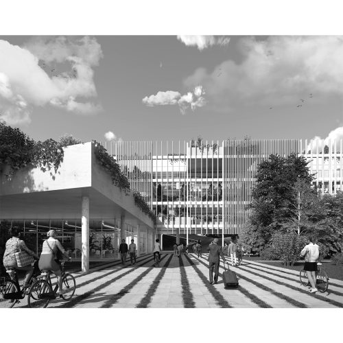 cineca-2024-competition-entry-tari-architects_15