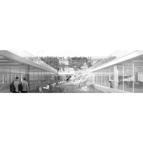 new-school-in-frosinone-2021-x-prize-tari-architects_09